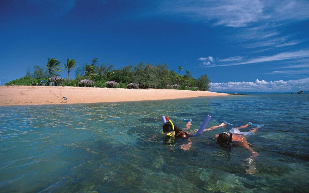 Snorkelling at Low Isles