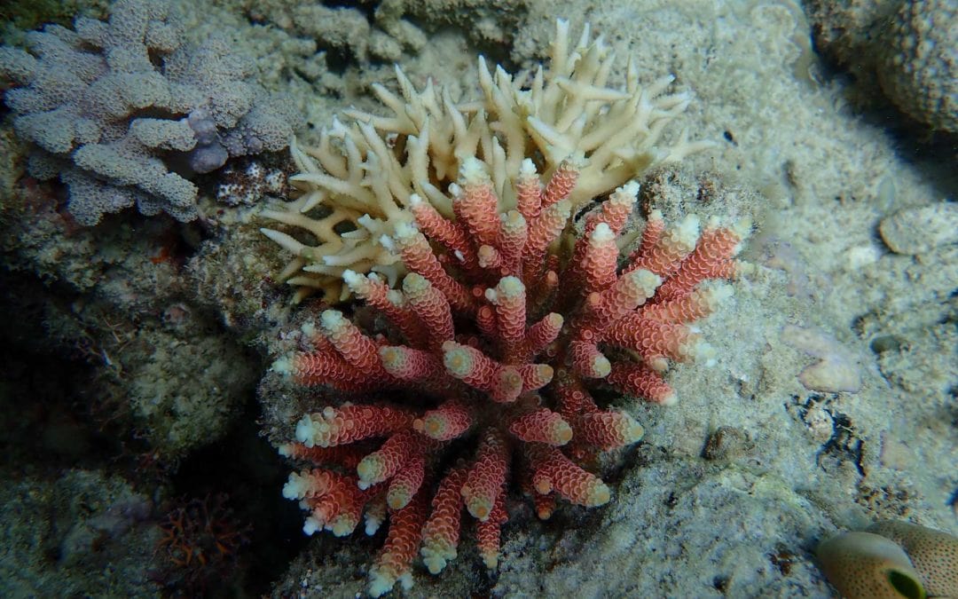 P7150128