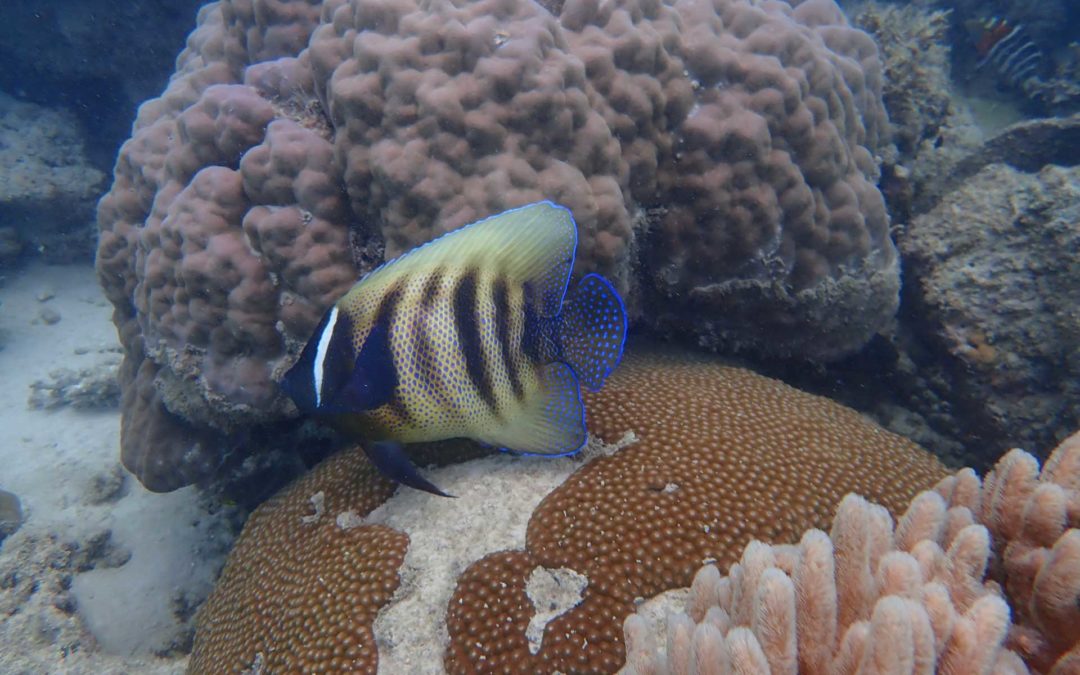 P7150131