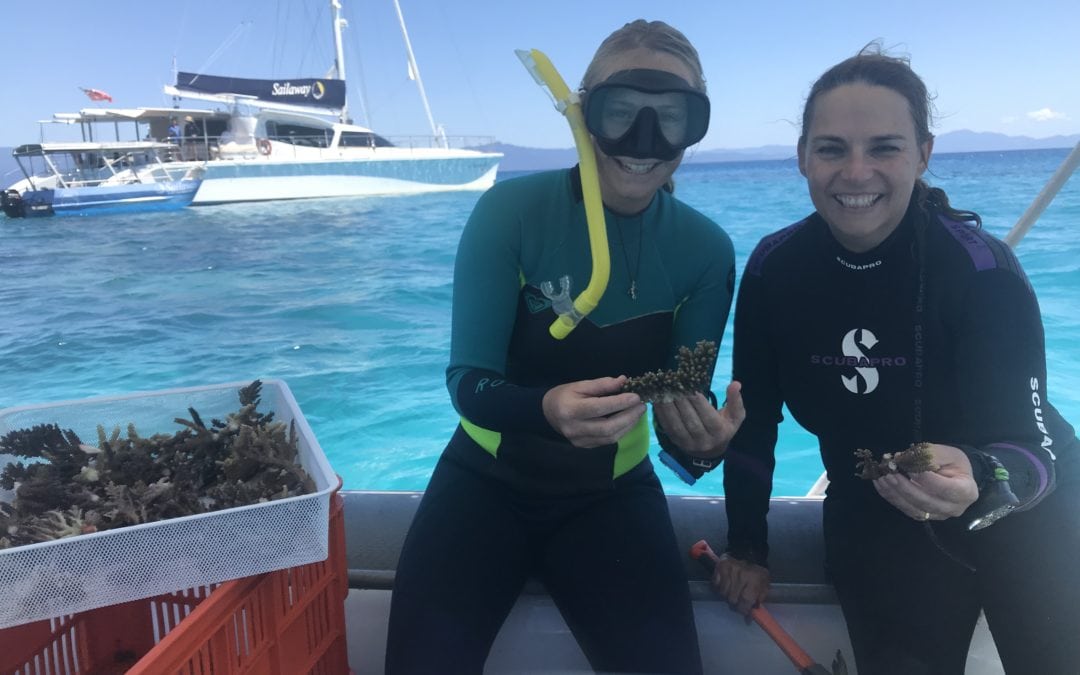 Coral Nurture Program – 6 Sep 2019 Team Champions