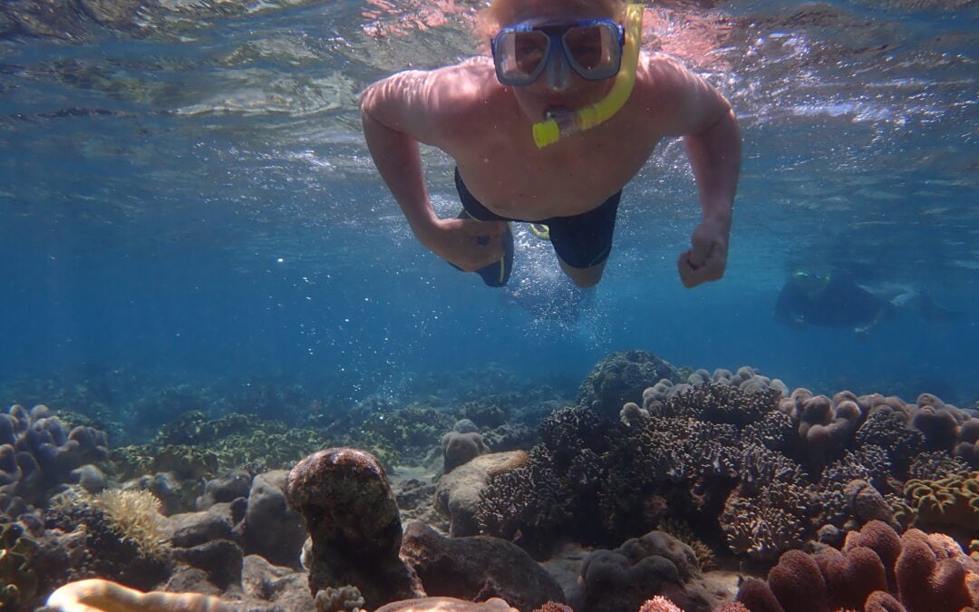 Snorkeller