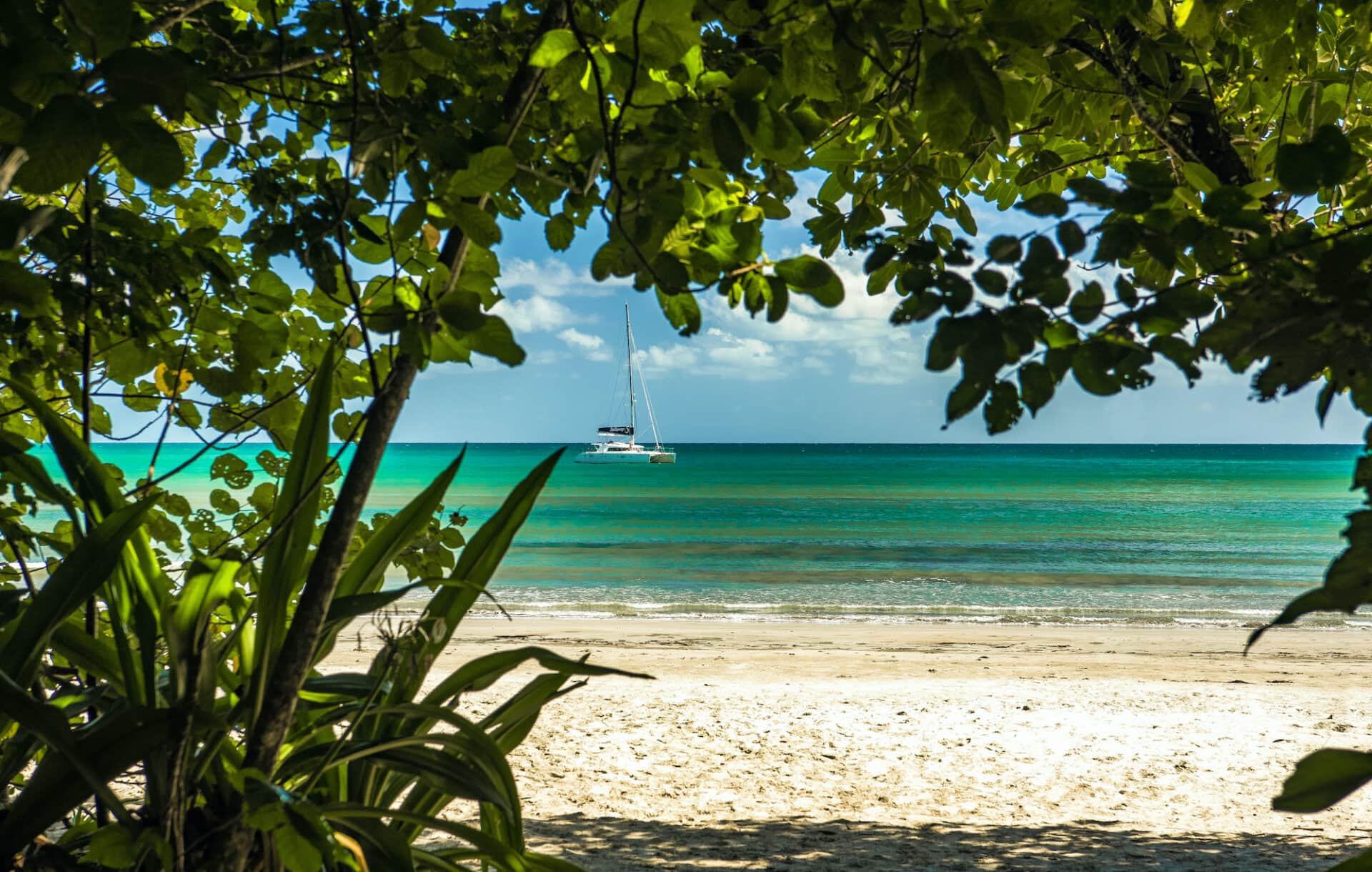 Sailaway Boarding Lounge
