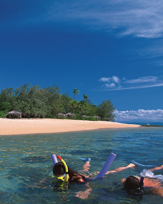 Snorkeling Los Isles, Port Douglas, during Sailaway afternoon sunset tour