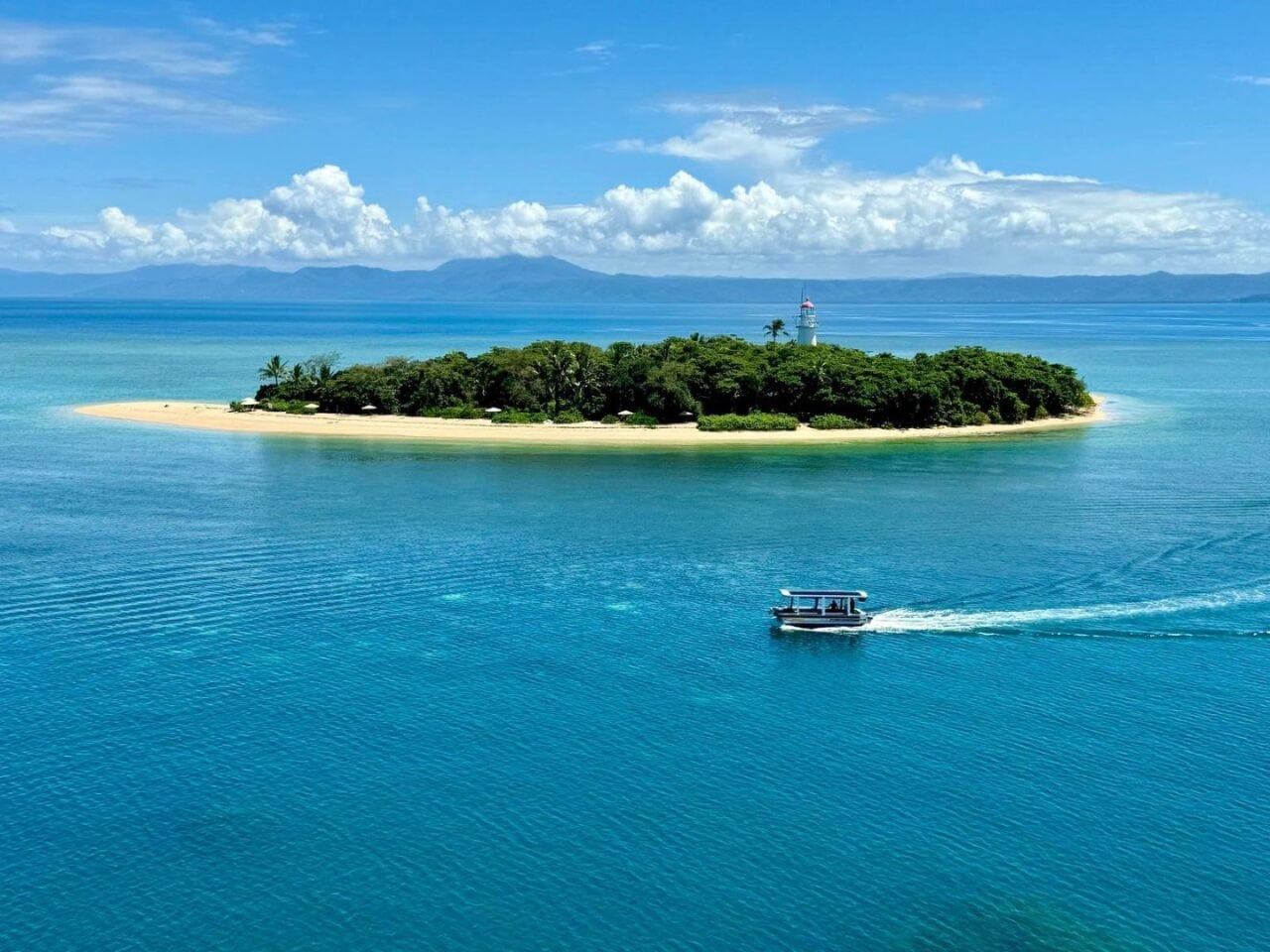 rainforest to reef gallery 1