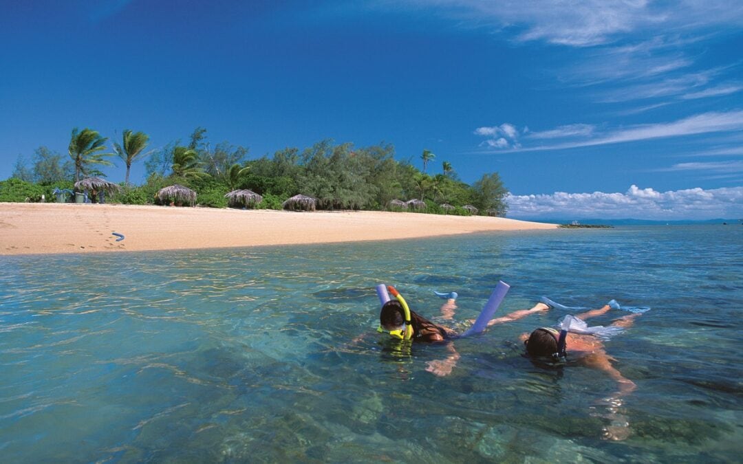 Rainforest-to-Reef-Gallery-2