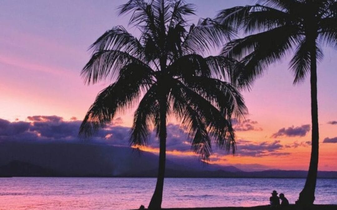 Rainforest-to-Sail-Gallery-1